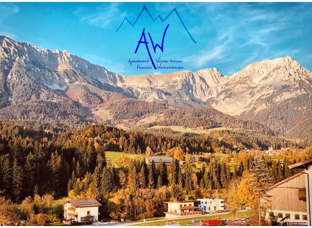Aw - Apartment Wilder Kaiser 凯撒山麓舍福 外观 照片